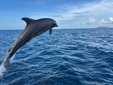 Go Galápagos Tours-Baltra必去景点