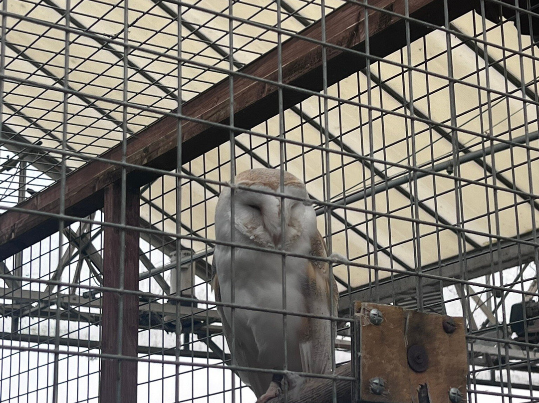 Woodbank Nurseries-Bingley必去景点