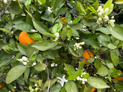 金塔多斯香水住宿加早餐旅馆主图