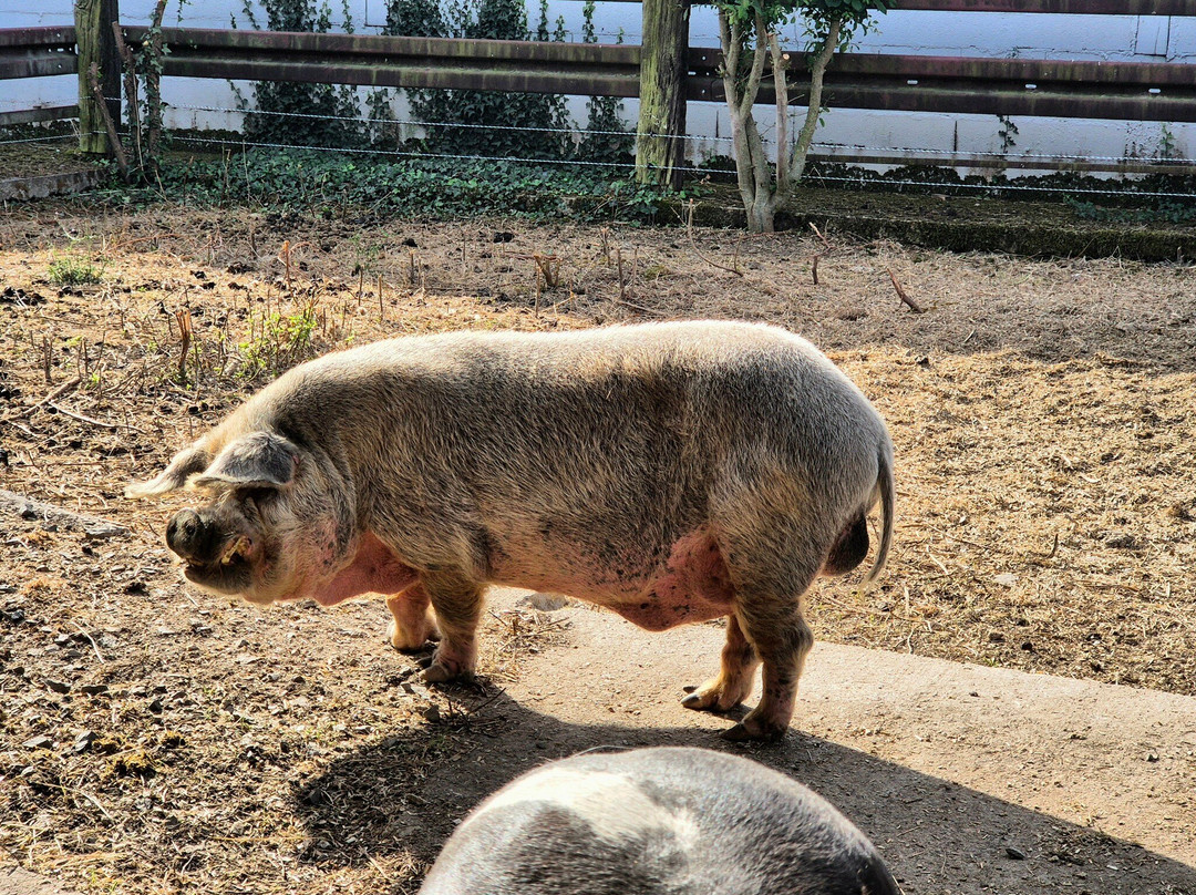 Agri'KIDS-Jarze必去景点