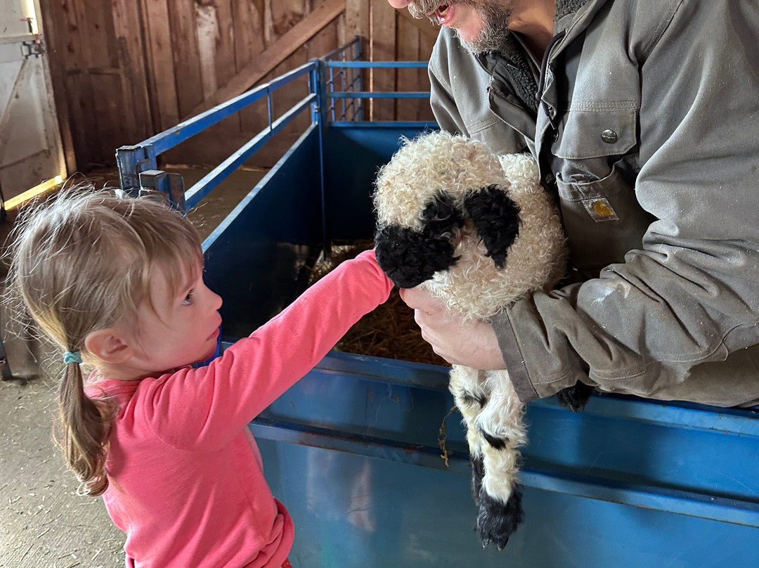 Amaro Farm-星期五港湾必去景点