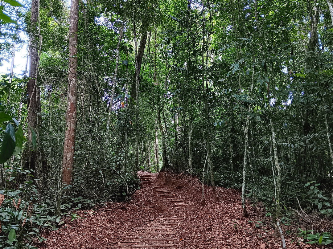 Hadco Experiences At Asa Wright Nature Centre-特立尼达必去景点