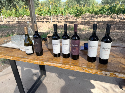 Finca El Paraíso - Bodega Luigi Bosca-Maipu必去景点