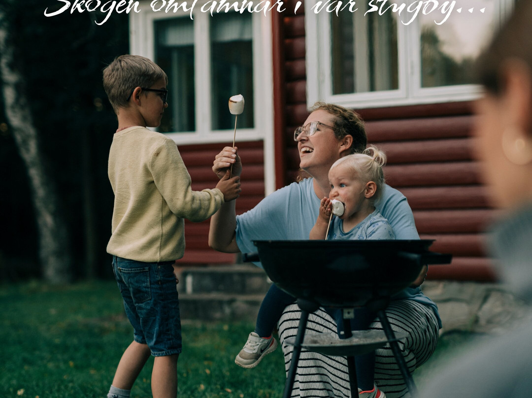 Ormanäs Stugby