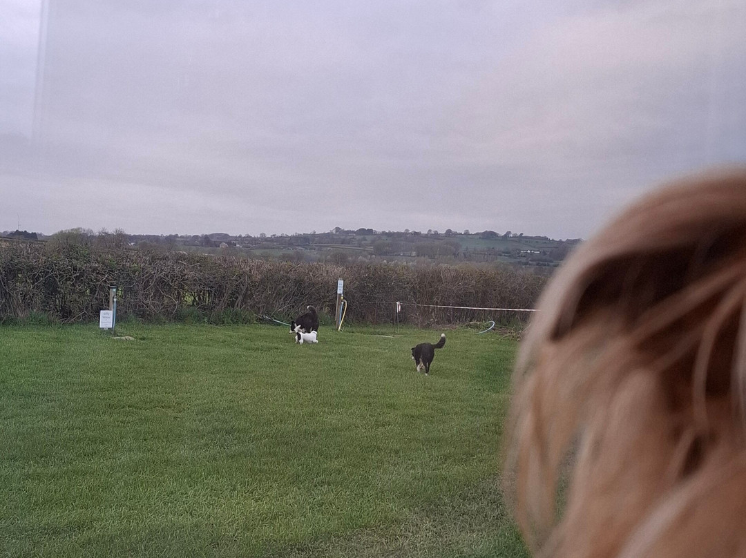 Greystones Farm-水上伯顿必去景点