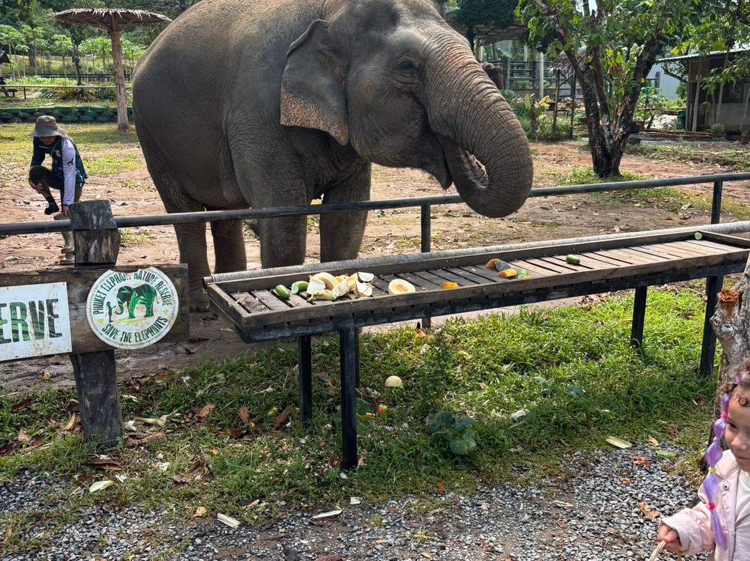 Phuket Elephant Nature Reserve-他朗必去景点