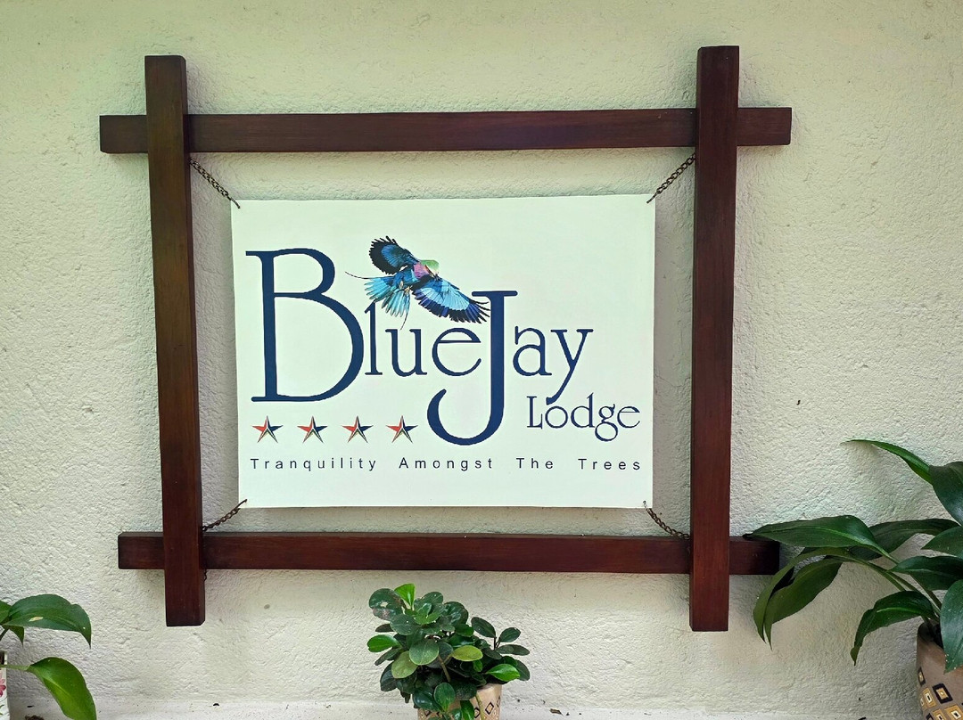 布鲁杰旅舍主图