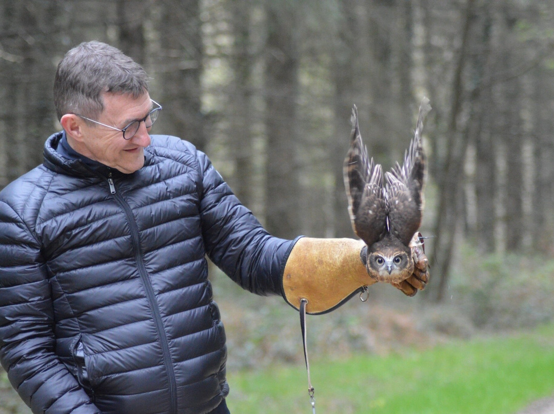 Mon Perroquet & Cie-Montrichard必去景点