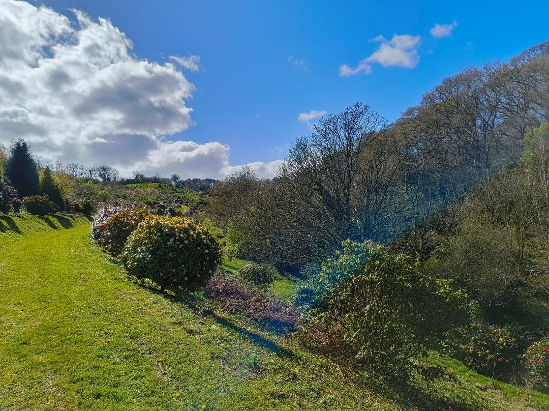 Fast Rabbit Farm Gardens-达特茅斯必去景点