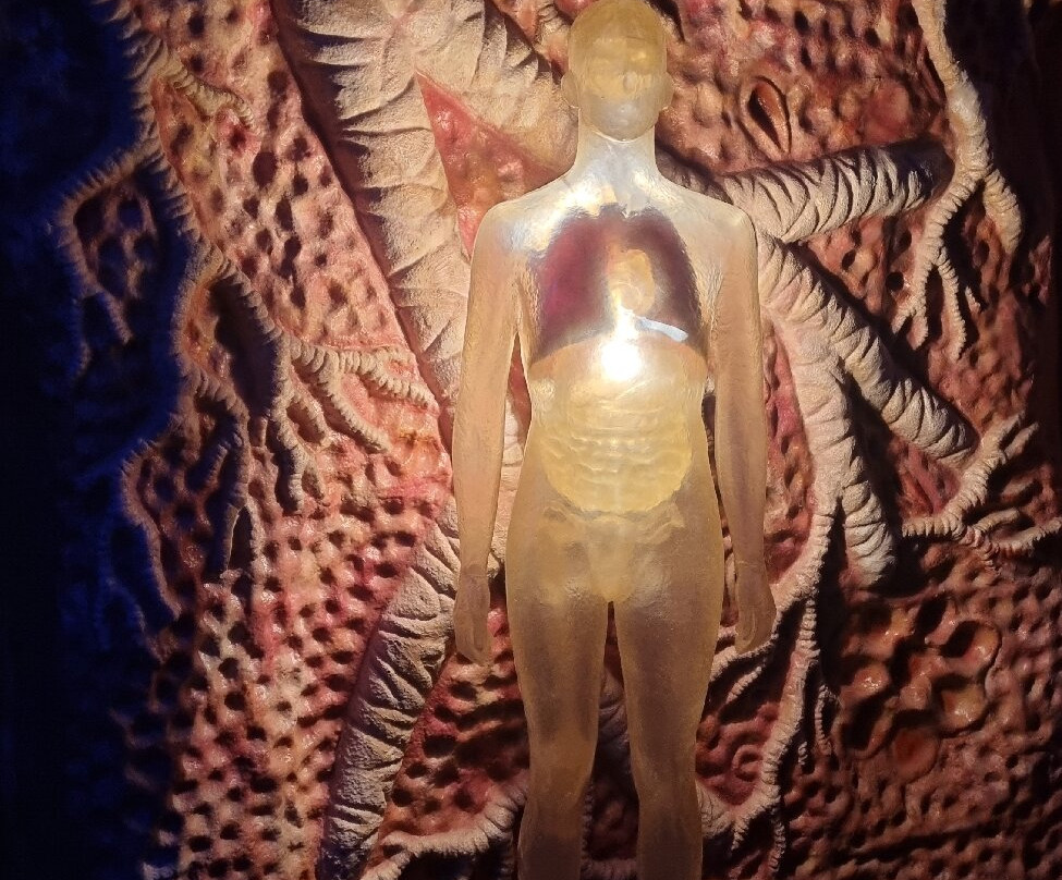 CORPUS 'journey through the human body'-乌赫斯特海斯特必去景点