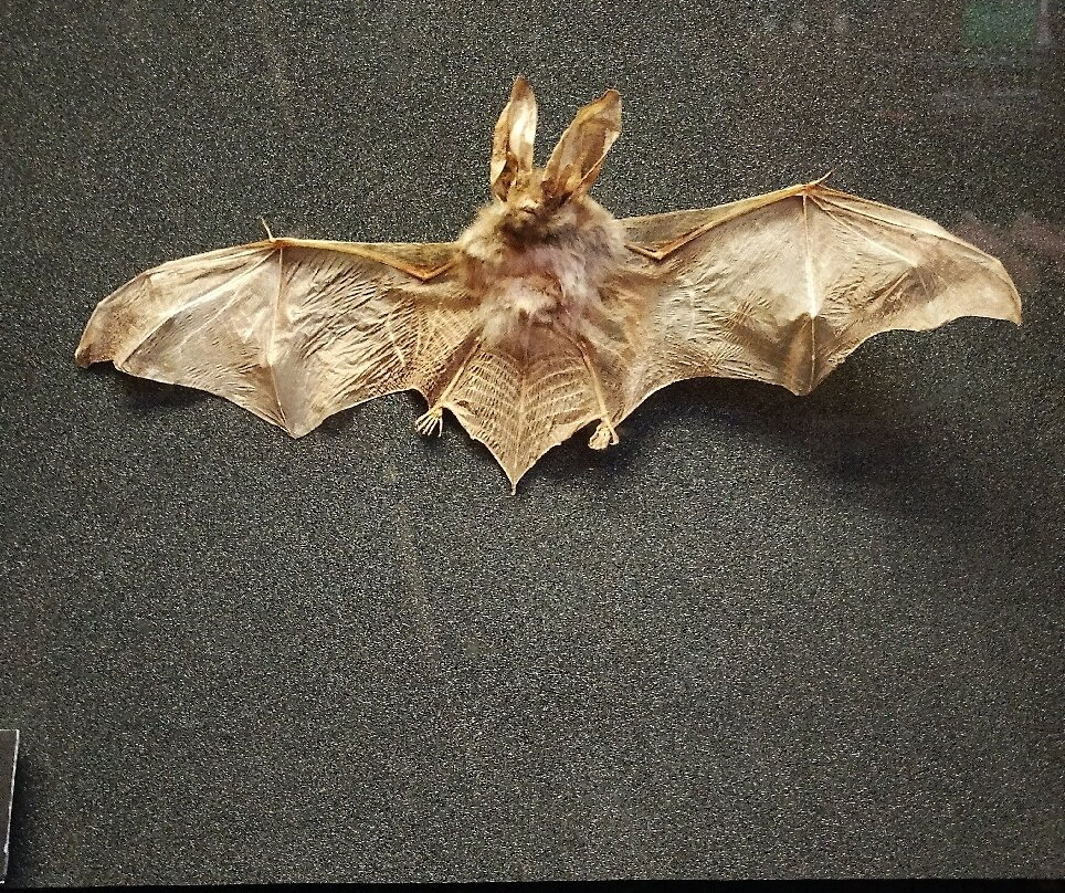 National Waterfront Museum-斯温西必去景点