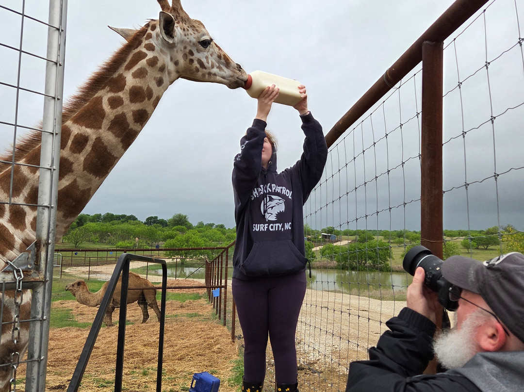 Blue Hills Ranch-McGregor必去景点