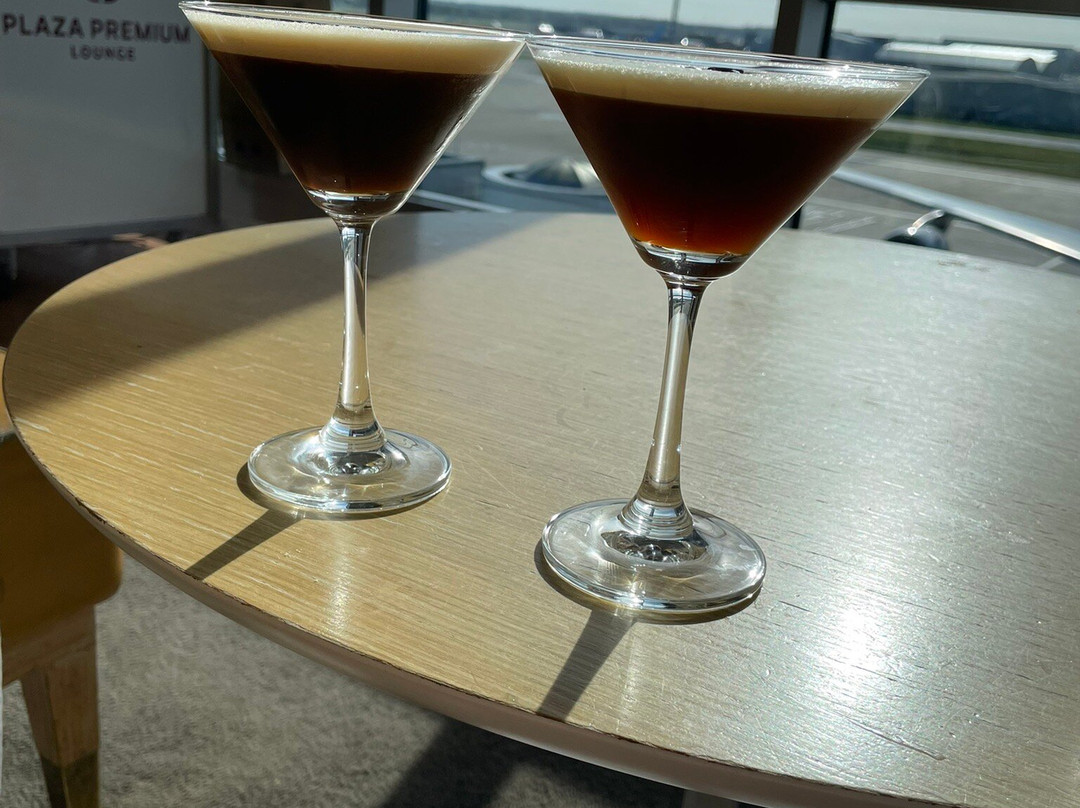 Plaza Premium Lounge Gatwick North Departures-霍利必去景点