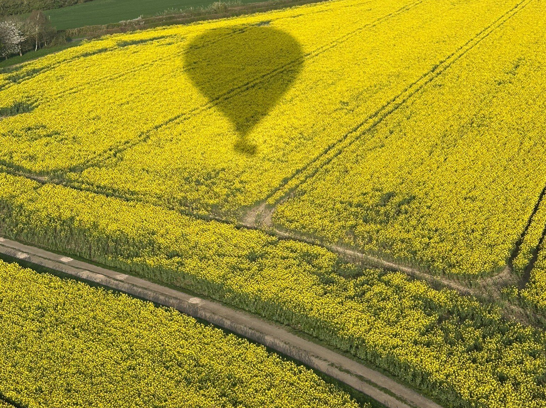 Virgin Balloon Flights - Feering, Prested Hall-科尔切斯特必去景点