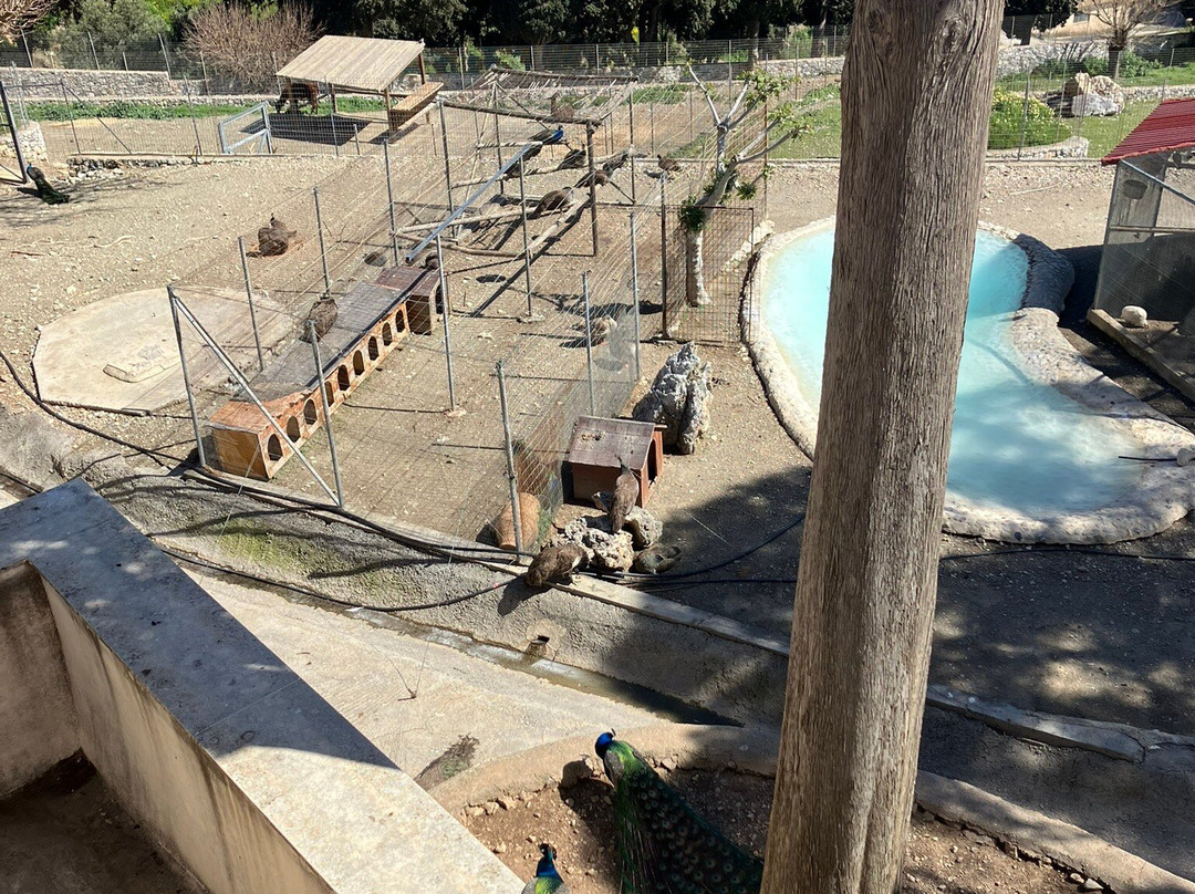 The Holy Monastery of Preveli-雷斯蒙必去景点