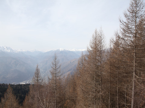 Cimetta-洛迦诺必去景点