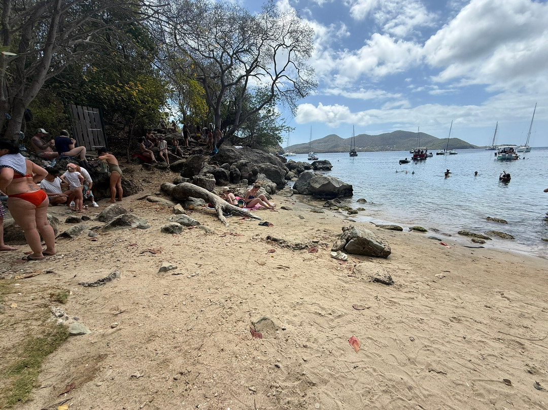 Plage Du Pain De Sucre-Terre-de-Haut必去景点
