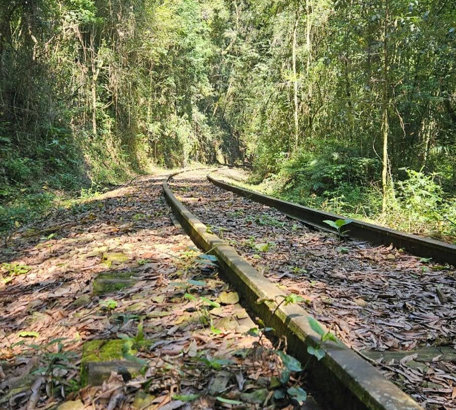 Parque Municipal Teixeira Soares-Marcelino Ramos必去景点
