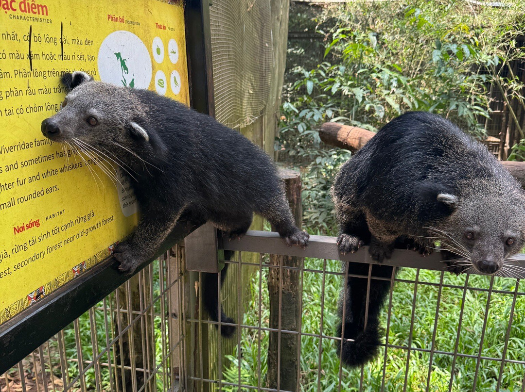 珍珠王国野生动物园-富国岛必去景点