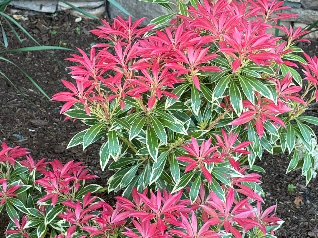 俄勒冈花园度假酒店主图