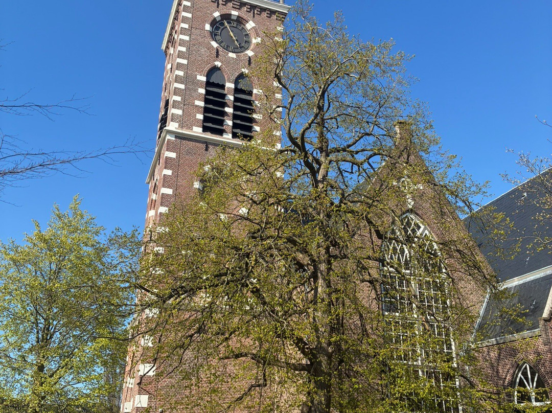 Dorpskerk Aalsmeer-Aalsmeer必去景点