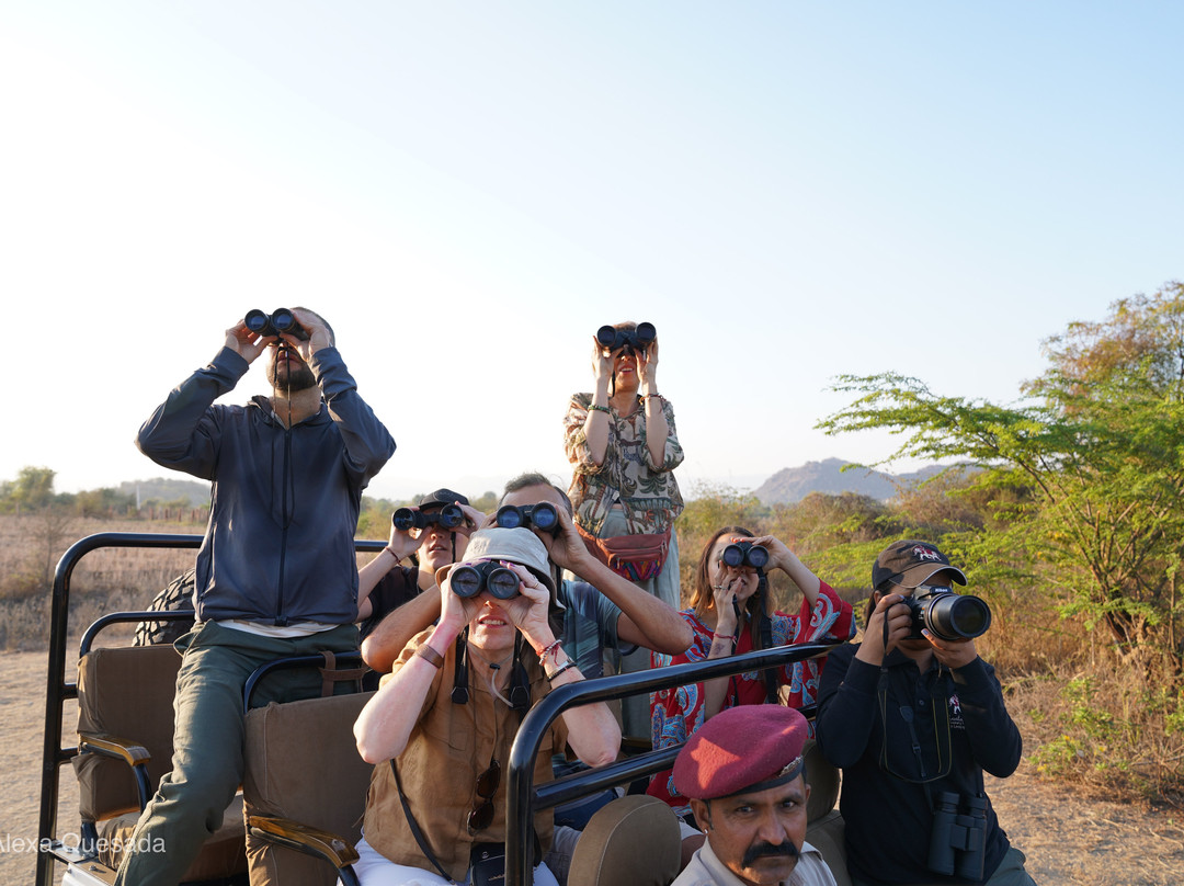 EAZE TOURS-新德里必去景点