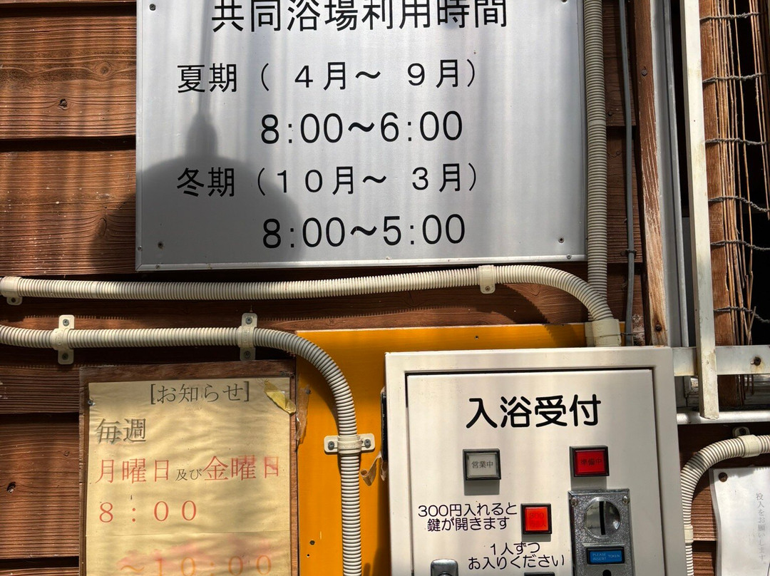 Hanesawa Onsen Kyodo Yokujo-鲑川村必去景点