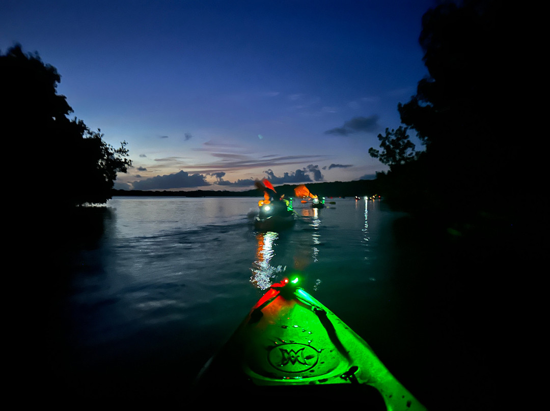 Puerto Rico Bio Bay Tours LLC-法哈多必去景点
