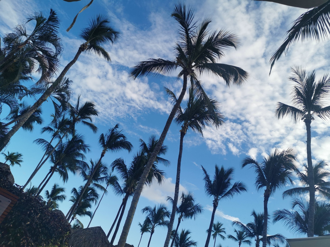 Mariposa Tours-Bayahibe必去景点