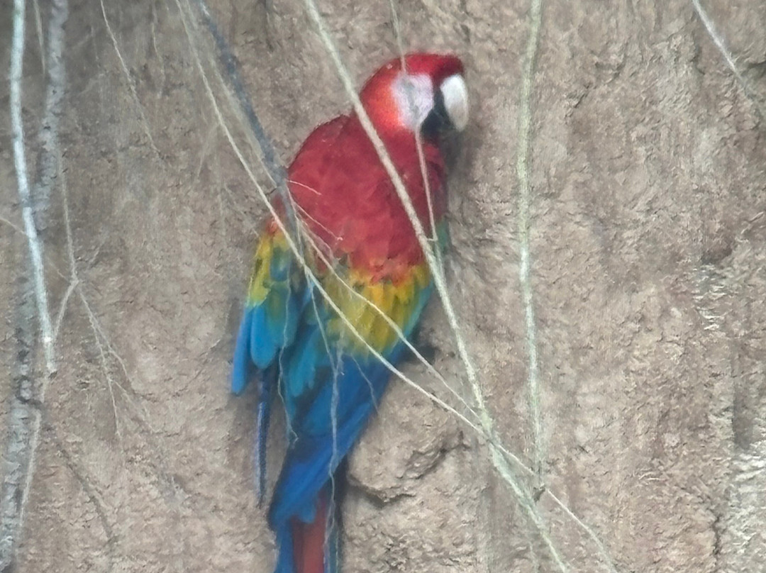 Finca Sachavacayoc lodge主图