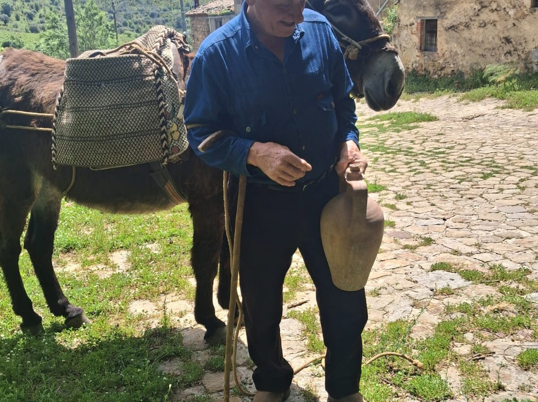 Madonie a Passo lento-Petralia Soprana必去景点