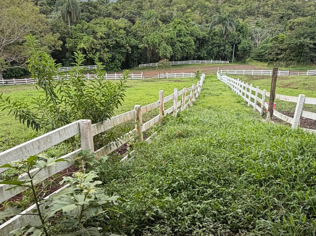 Hacienda Siesta Alegre主图