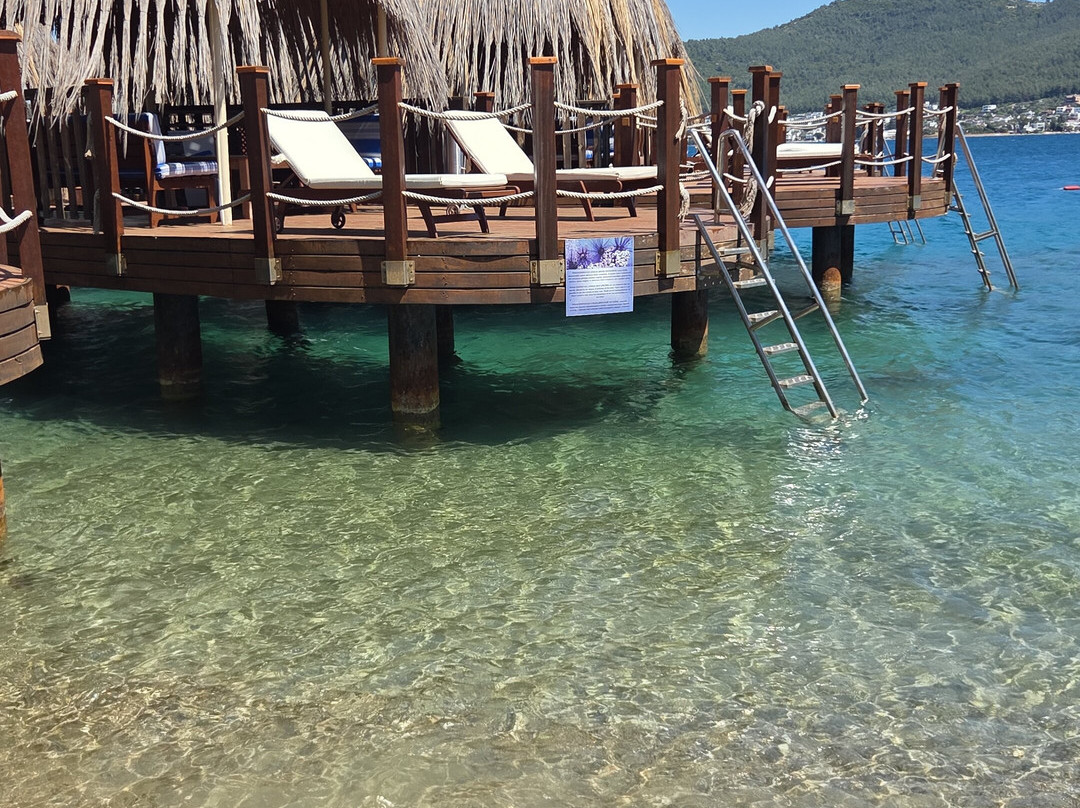 博德鲁姆拉布兰克岛酒店 - 全包式主图