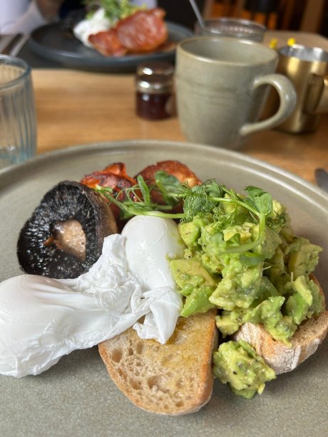 The Golden Lion, Newport, Pembrokeshire-旅行者