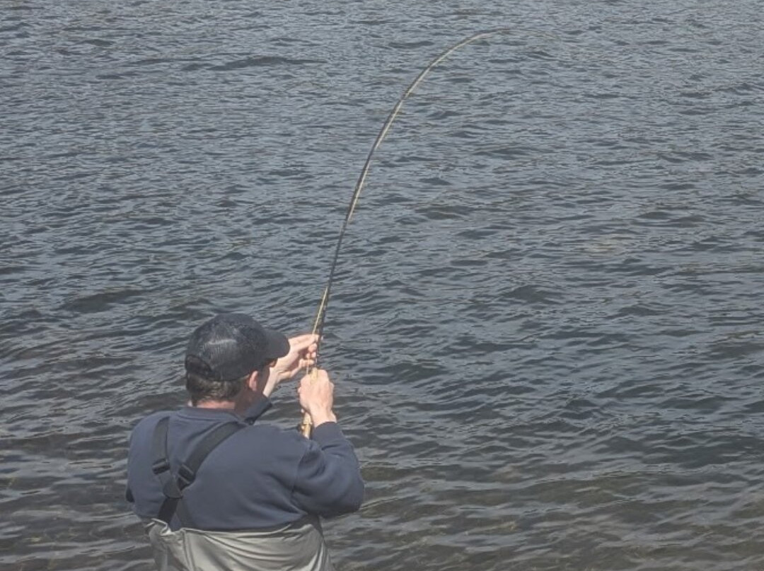Matt Heron Fly Fishing-奥林匹克谷必去景点