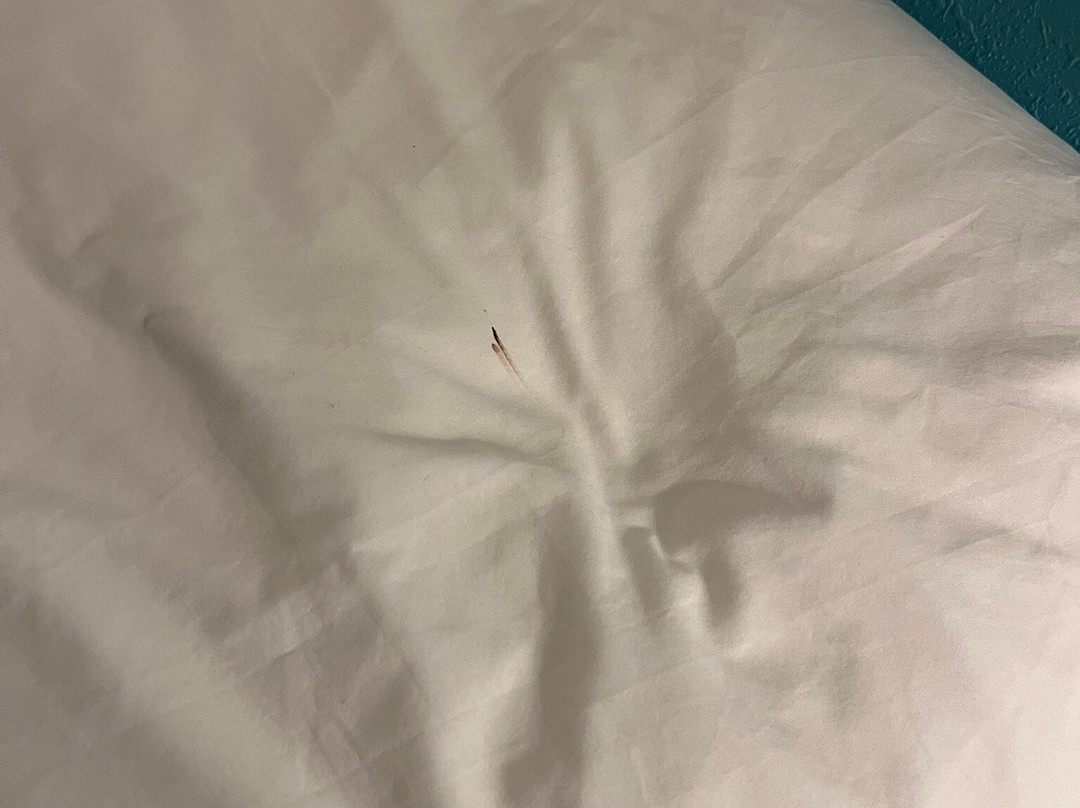 佛罗伦萨豪生酒店主图