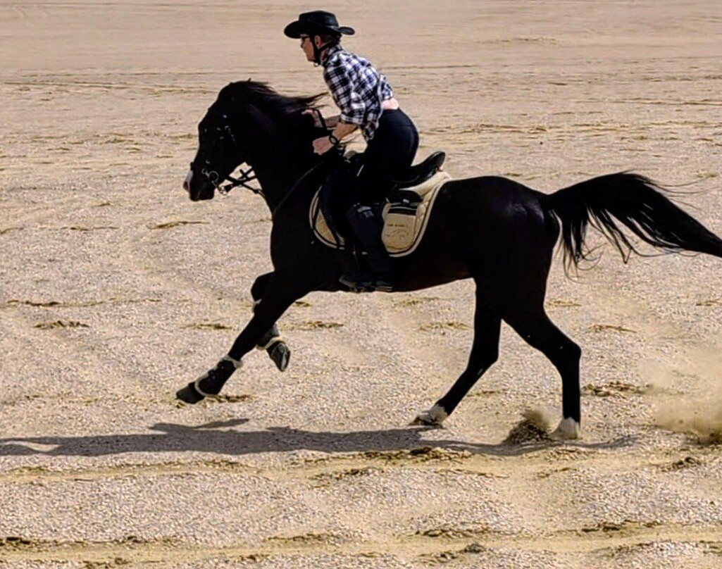 Tunis Stable-Tunis必去景点