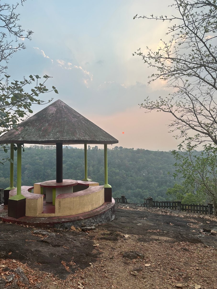 Chamundi Hill Palace Ayurvedic Resort-旅行者