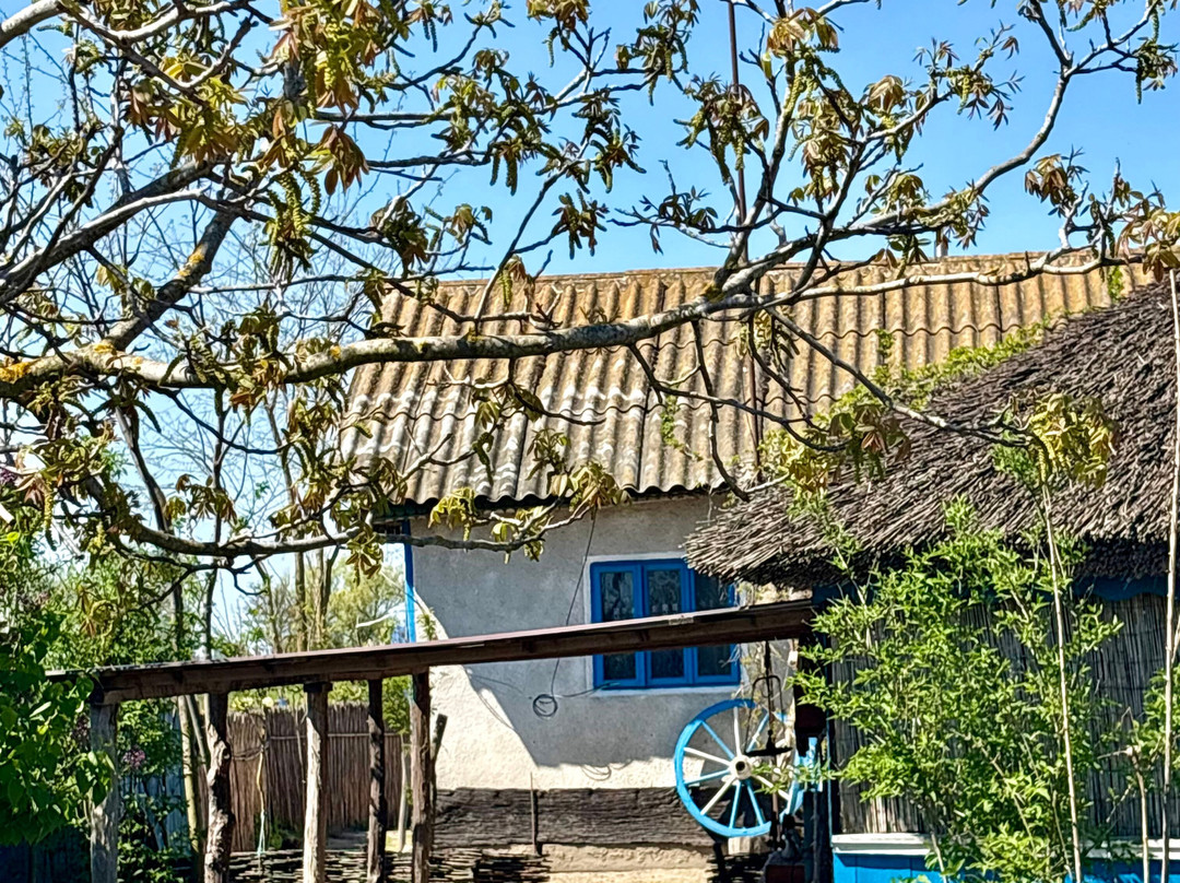 Tours in Delta with John-Crisan必去景点