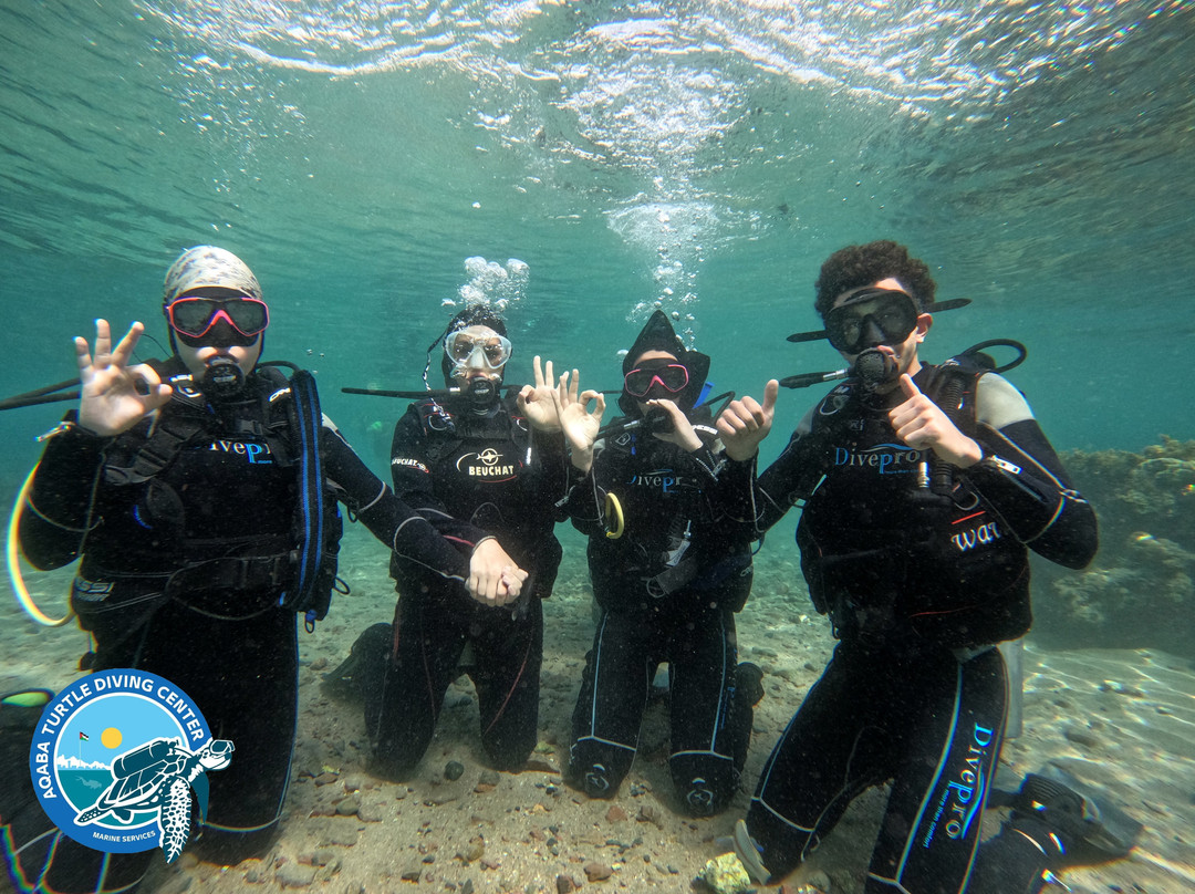 العقبه للالعاب البحريه Aqaba Water Sports-亚喀巴必去景点