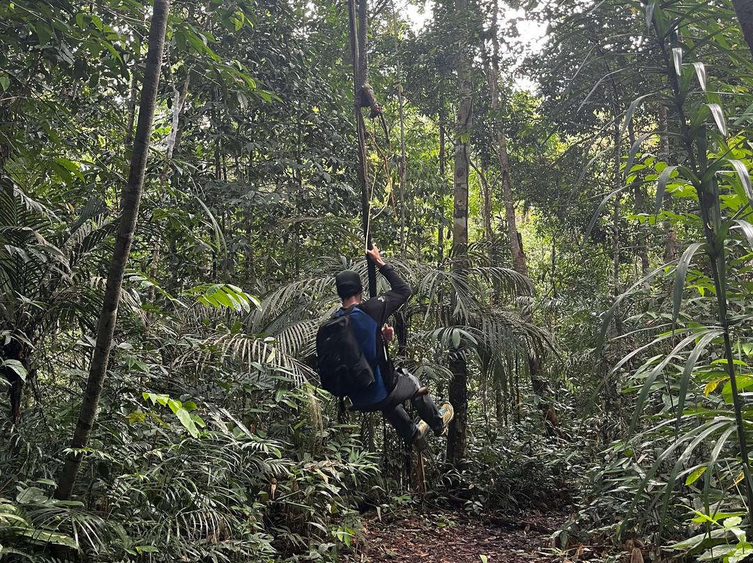 Amazon Green Tours-玛瑙斯必去景点