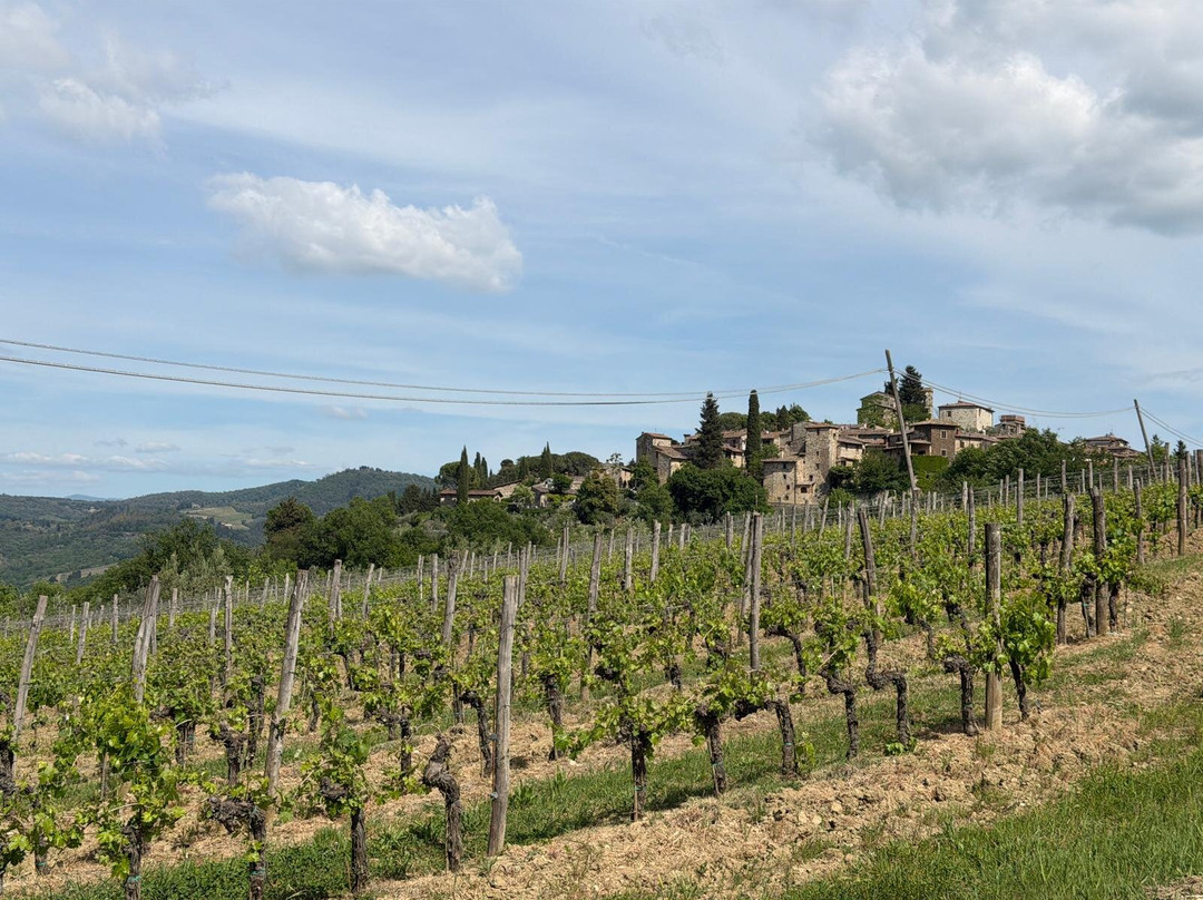 Podere Bucine Winery-格雷韦伊恩基亚恩蒂必去景点