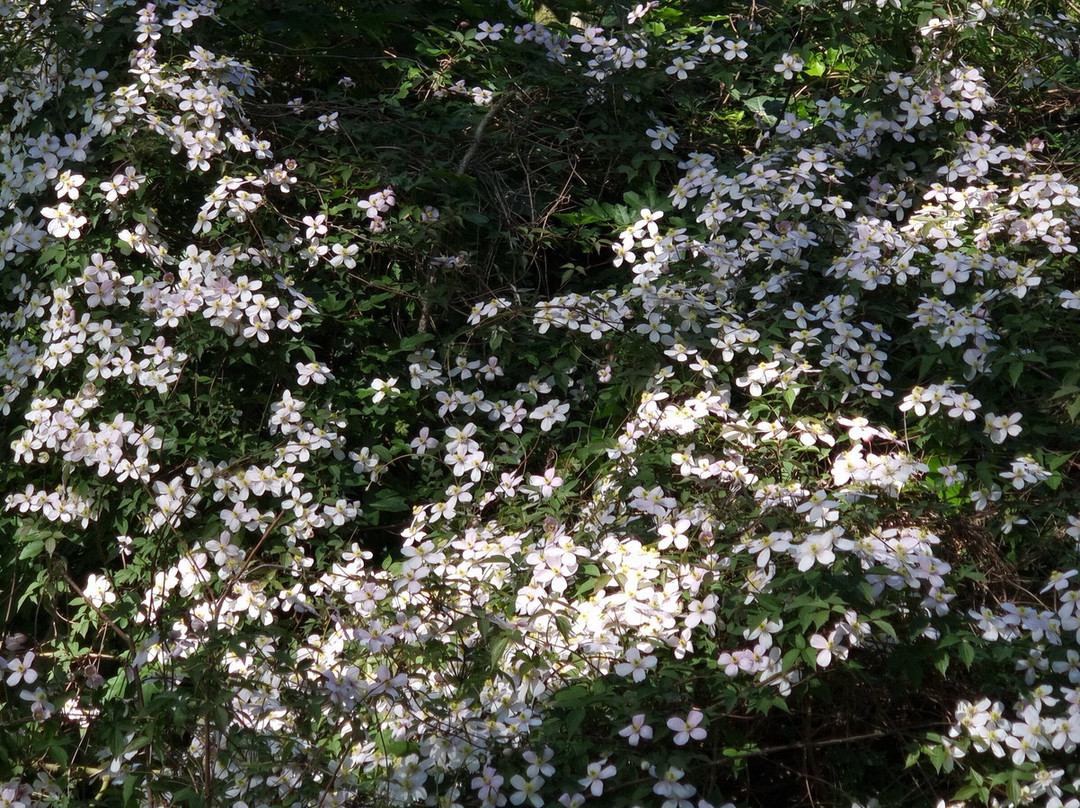 Park Oog in Al-乌特勒支必去景点