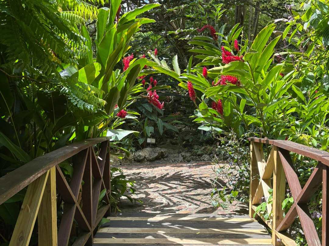 Andromeda Botanic Gardens-Bathsheba必去景点
