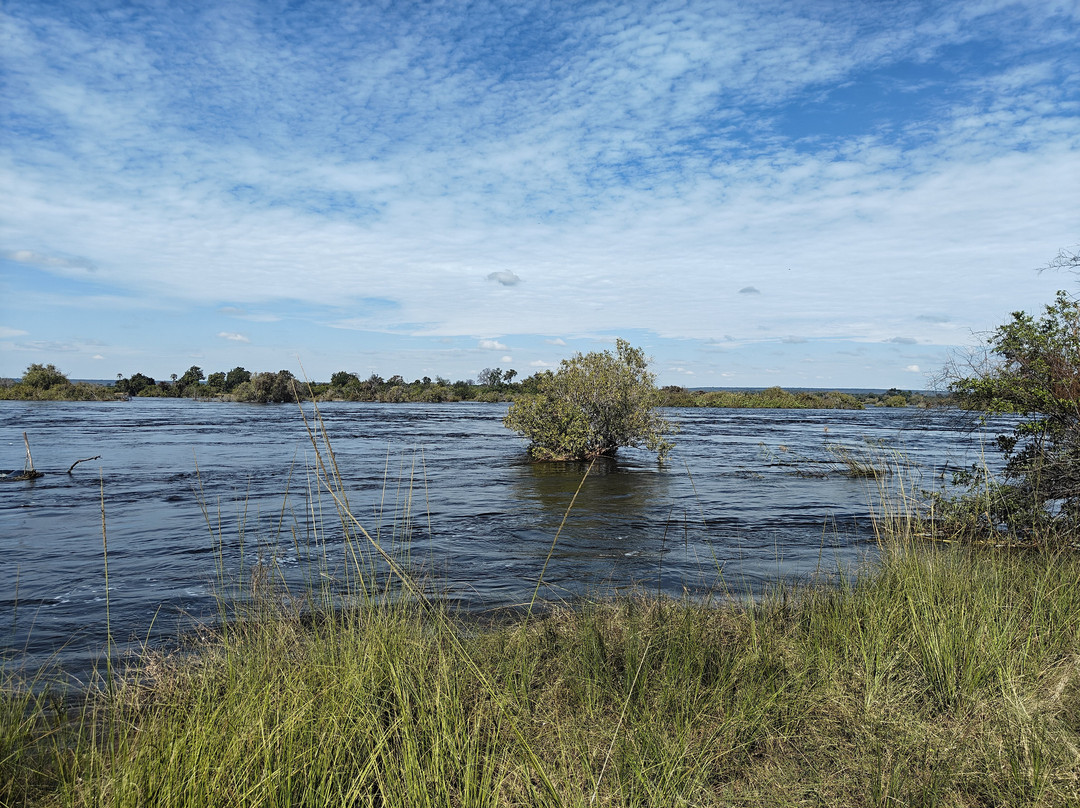 Lwizi Eco Safaris And Adventure Tours-李文斯顿必去景点