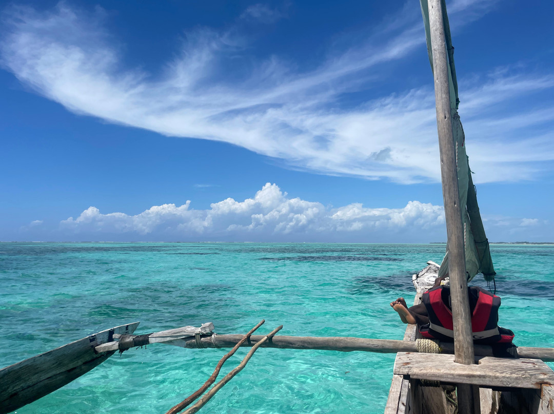 Ethical Dolphin Tours - Kizimkazi, Zanzibar-Kizimkazi必去景点