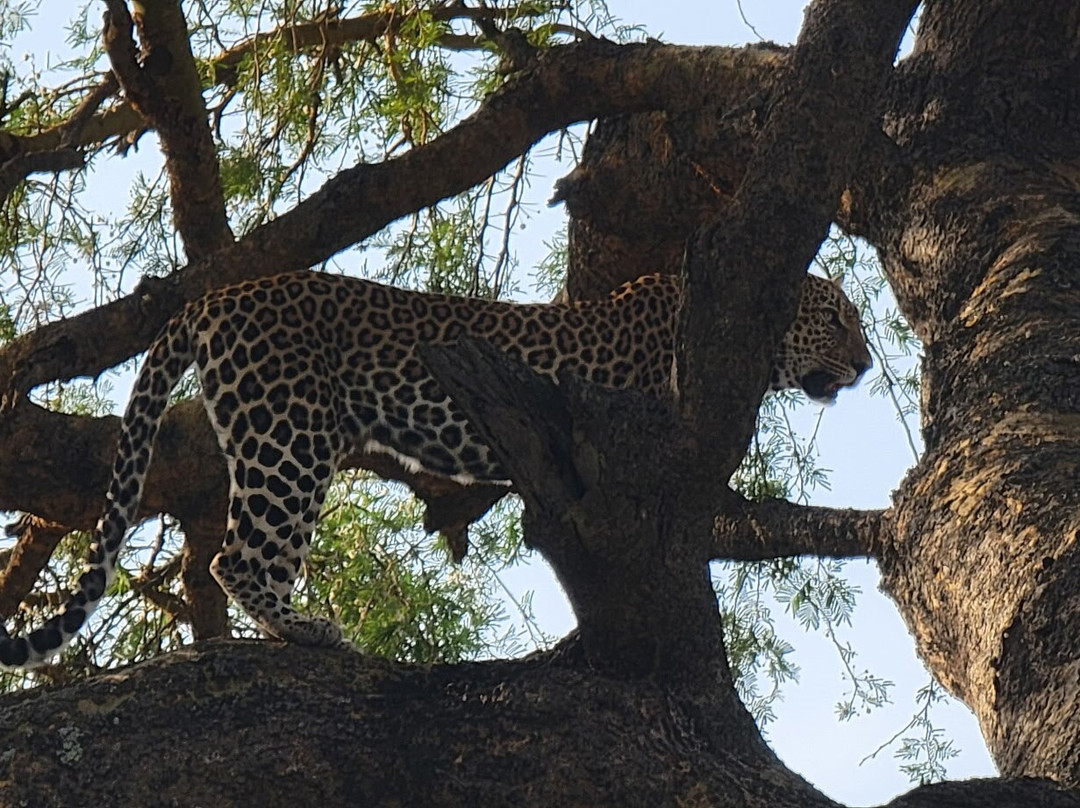 Katella Uganda Safaris-坎帕拉必去景点
