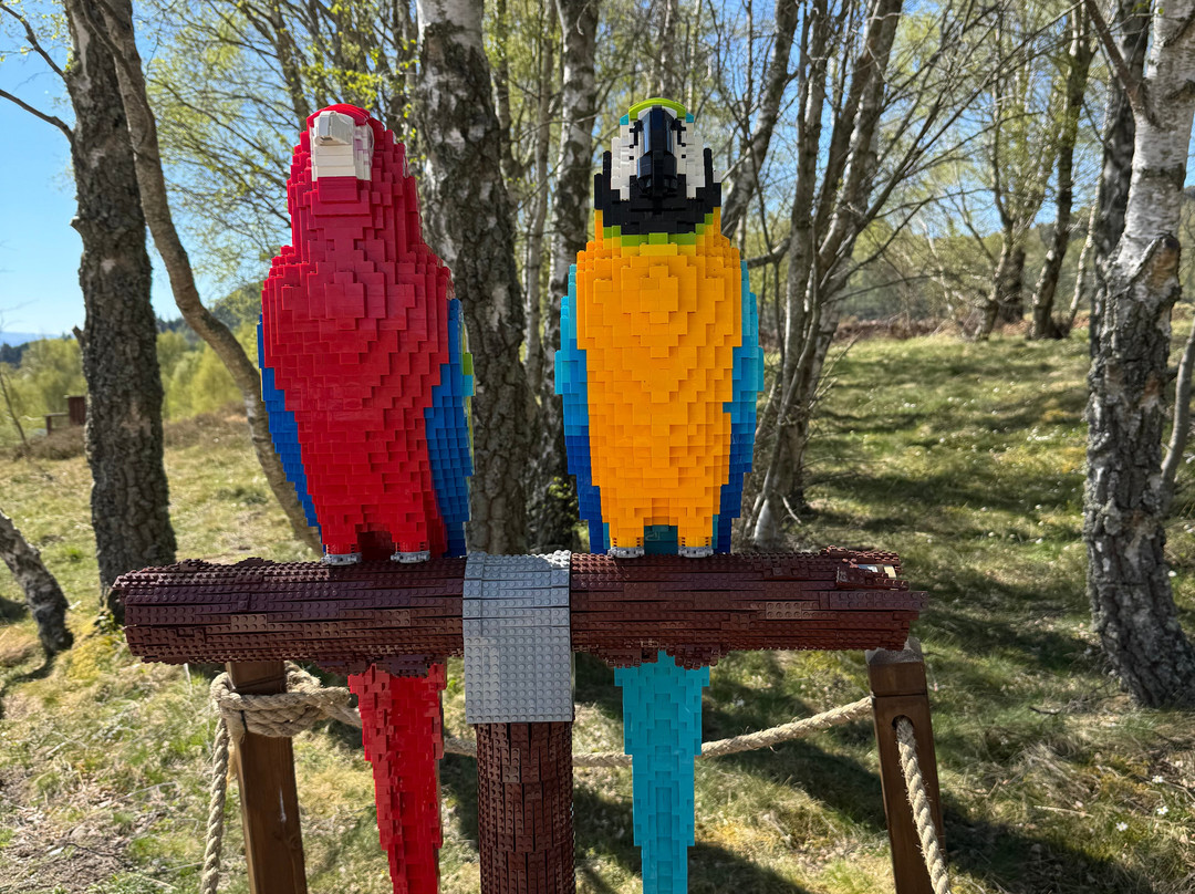 Highland Wildlife Park-Kincraig必去景点