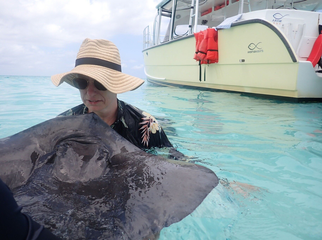 Cayman Turtle Centre: Island Wildlife Encounter-西湾必去景点