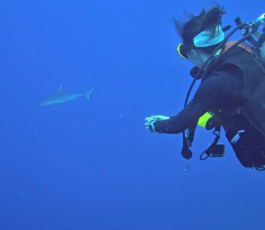 Addu Scuba Club-Hithadhoo Island必去景点